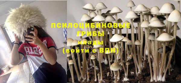 стафф Щучье