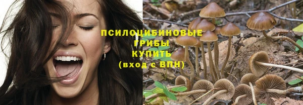 альфа пвп Касимов
