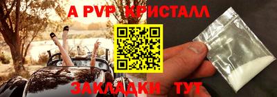 крисы Жуковский