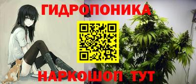 крисы Жуковский