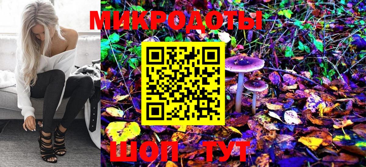Псилоцибиновые грибы Psilocybe  Псилоцибиновые грибы прущие грибы  Вход с VPN  Мыски 