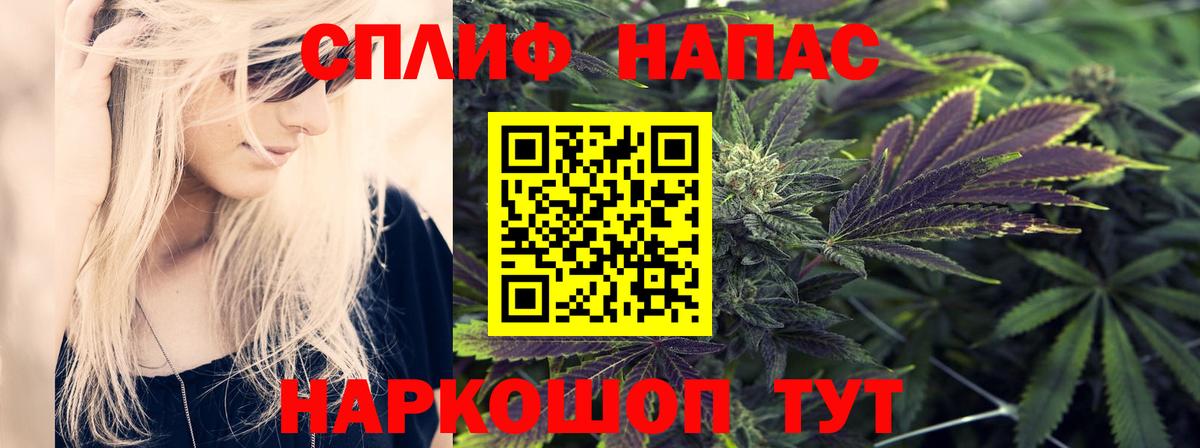 Канабис планчик Мыски